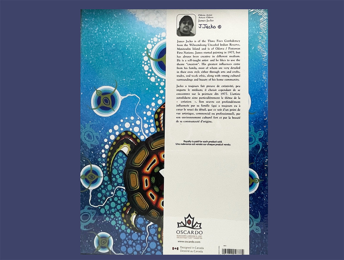 James Jacko - Medicine Turtle - Puzzle