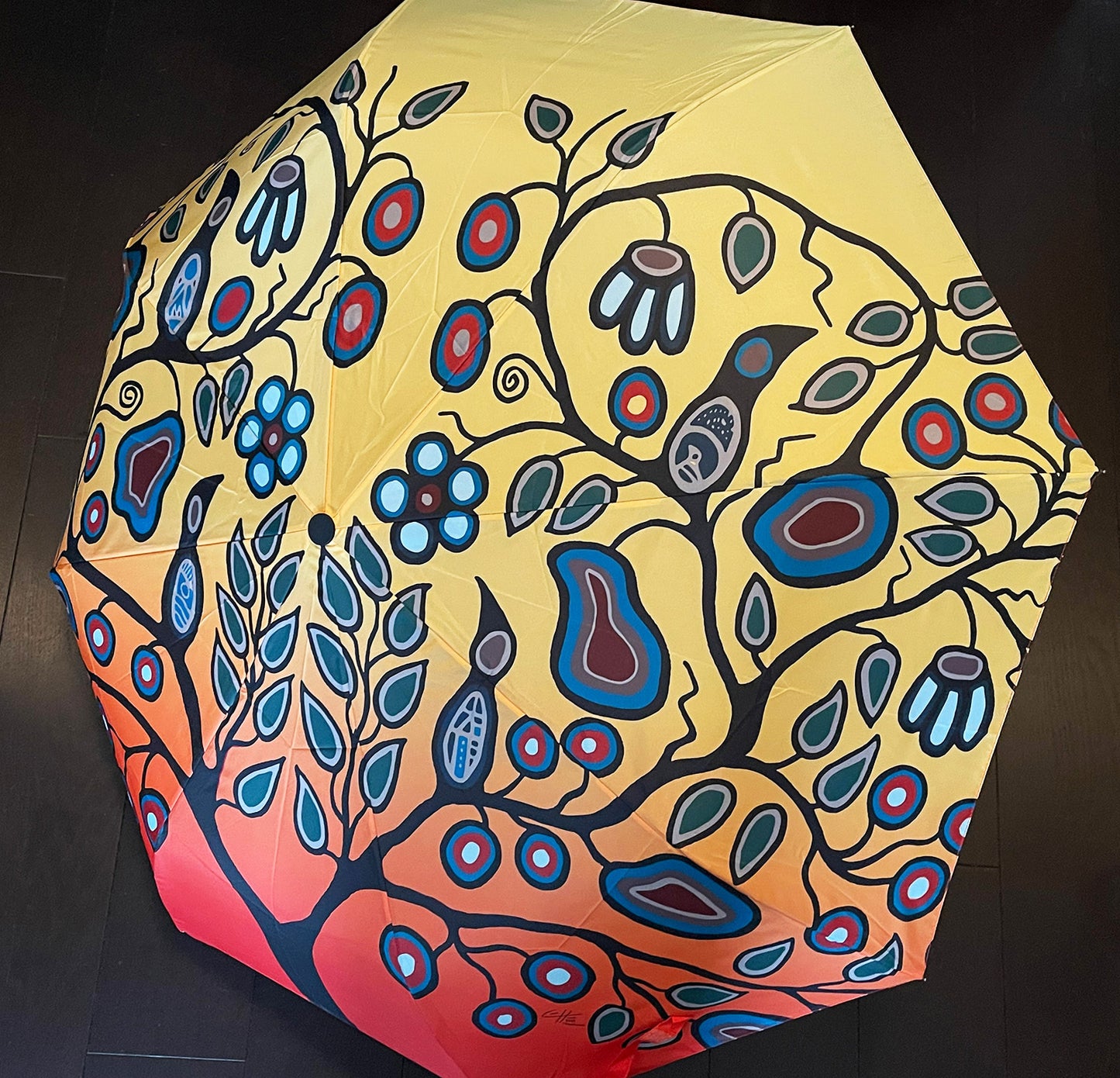 Cody James Houle - Stronger Together with Love and Understanding